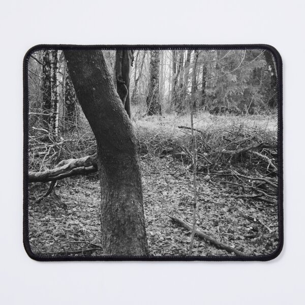 Item preview, Dark Bark and feelings of the fall bw designed and sold by Jouko Lehto Photography.