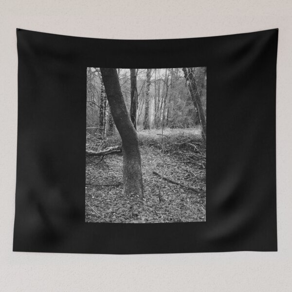 Item preview, Dark Bark and feelings of the fall bw designed and sold by Jouko Lehto Photography.