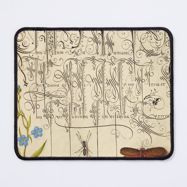 Item preview, Naturalist Manuscript: Insects and Calligraphy Illumination by Joris Hoefnagel designed and sold by Naturalist Prints.