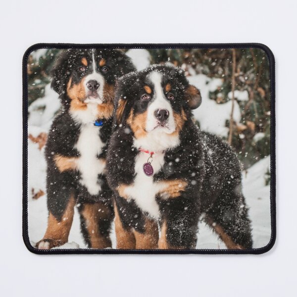 Item preview, Bernese Mountain Dog Lovers designed and sold by PF-creations.