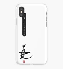 e-crypt iPhone Case/Skin