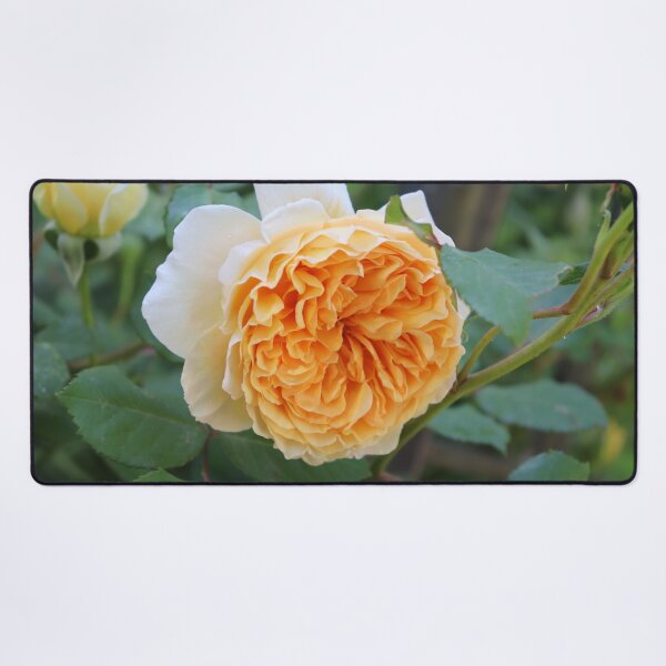 Item preview, A Perfect English Rose designed and sold by cuprum.