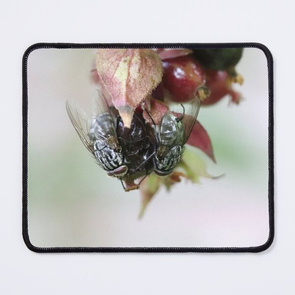 Item preview, Some Berry Hungry Flies designed and sold by cuprum.