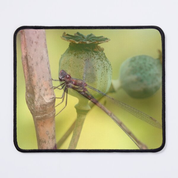 Item preview, Illusion designed and sold by cuprum.