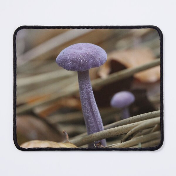 Purple Persistance Mouse Pad