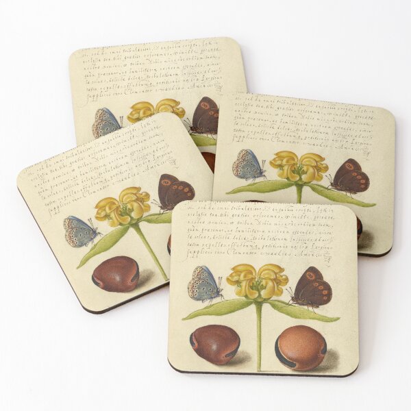 Item preview, Naturalist Manuscript: Insects, Flower, and Calligraphy Illumination by Joris Hoefnagel designed and sold by Naturalist Prints.