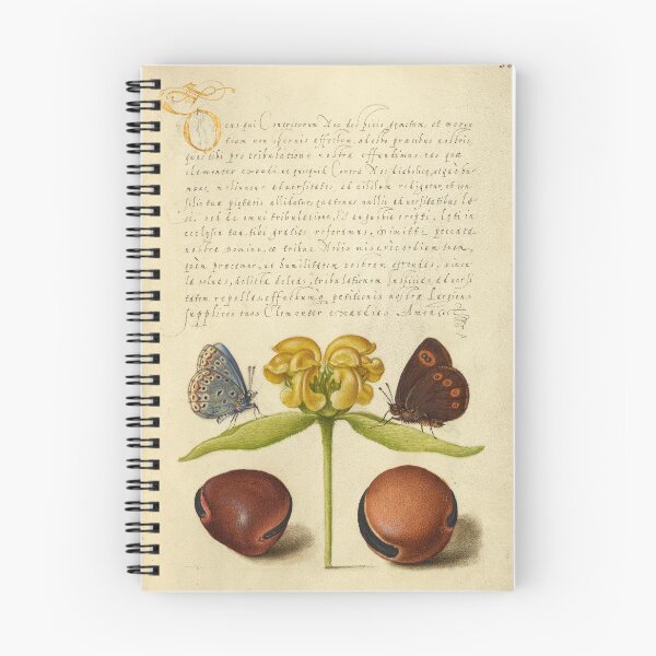 Item preview, Naturalist Manuscript: Insects, Flower, and Calligraphy Illumination by Joris Hoefnagel designed and sold by Naturalist Prints.