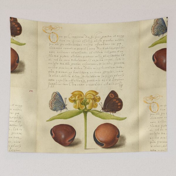 Item preview, Naturalist Manuscript: Insects, Flower, and Calligraphy Illumination by Joris Hoefnagel designed and sold by Naturalist Prints.