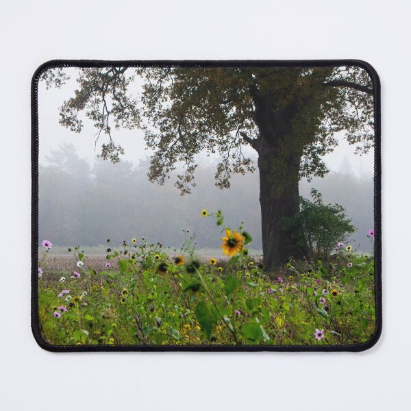 Item preview, Brightening a grey day designed and sold by jchanders.