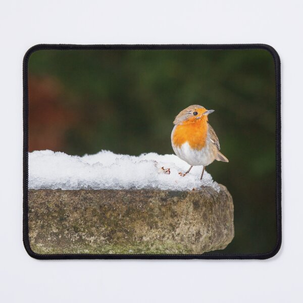 Item preview, Robin Redbreast in Snow designed and sold by Graham Prentice.