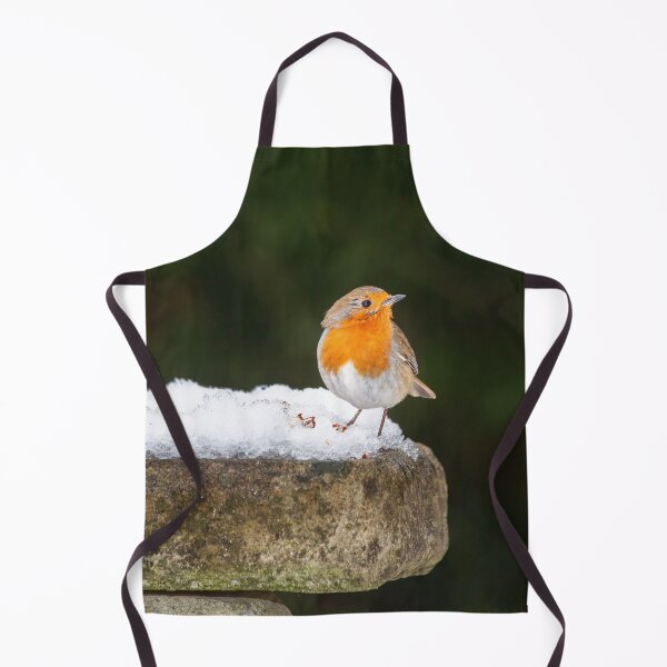 Item preview, Robin Redbreast in Snow designed and sold by Graham Prentice.