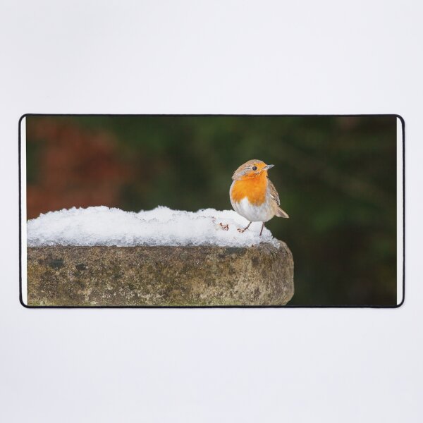 Item preview, Robin Redbreast in Snow designed and sold by Graham Prentice.