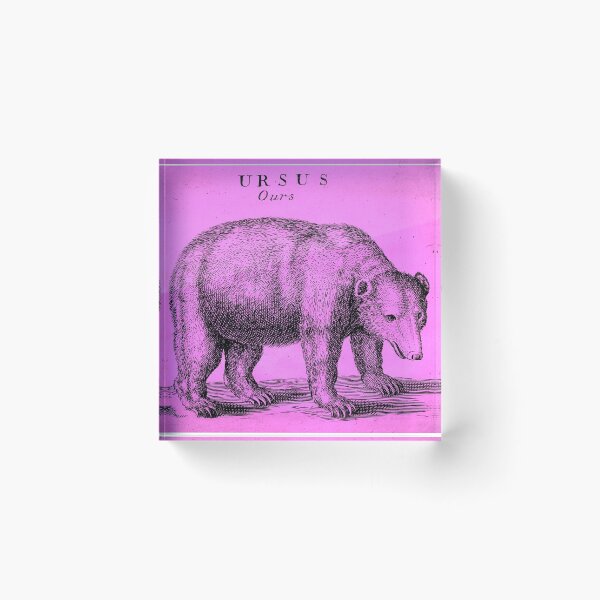 Item preview, Pink Bear Engraving designed and sold by chilangopride.