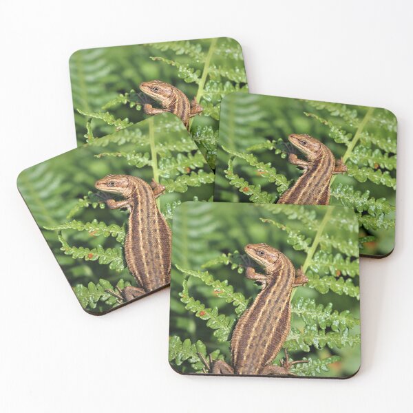 Item preview, Common Lizard - Zootoca vivipara designed and sold by Christian Moss.