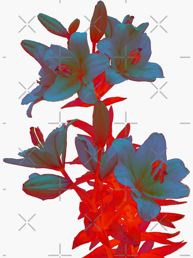 Thumbnail 3 of 3, Sticker, Lilies on a LushLava Background designed and sold by SiobhanFraser.