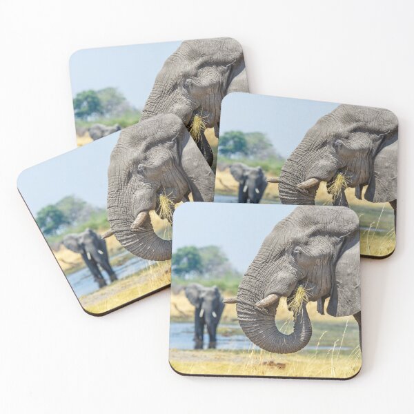 Item preview, African bush elephant eating designed and sold by Graham Prentice.