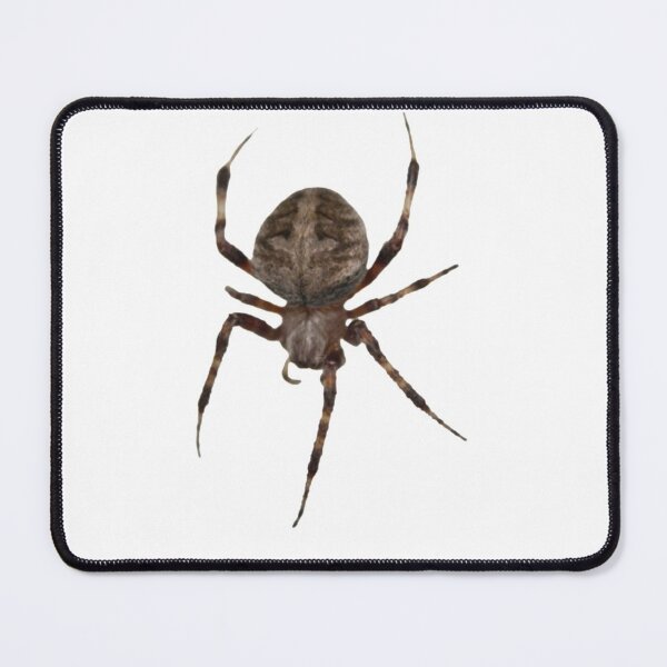 Item preview, Spiders, both large and small designed and sold by LindaLG.