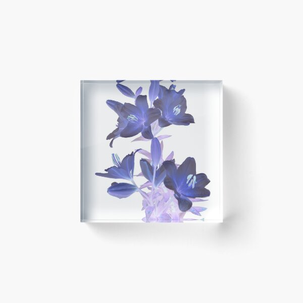 Lilies on a White Background Acrylic Block