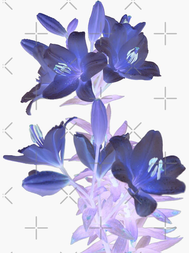Thumbnail 3 of 3, Sticker, Lilies on a White Background designed and sold by SiobhanFraser.