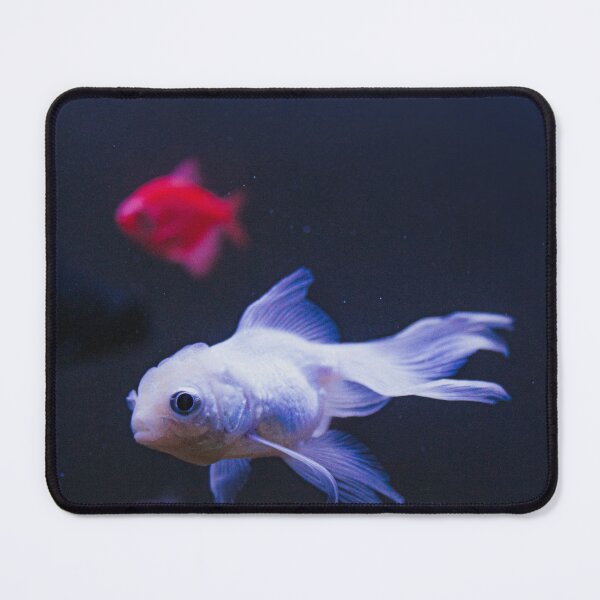 Item preview, goldfish photo with high resolution quality designed and sold by Allyouneed-2.