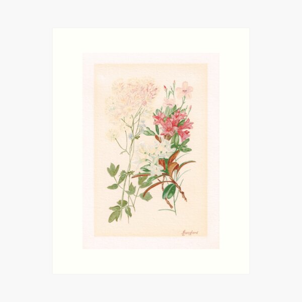 Item preview, Alpine Flowers 002 by Harold Langford (1907-1993) designed and sold by BigJ.
