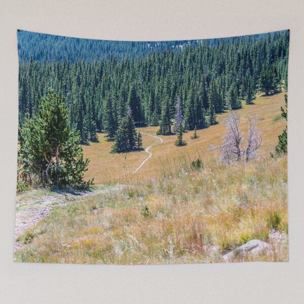 Item preview, Sendero Mirador hacia el bosque por Debra Martz designed and sold by Debra Martz.