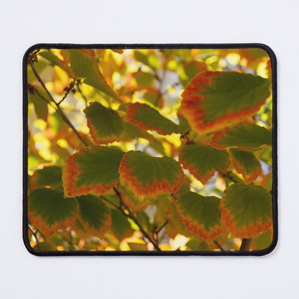 Item preview, Slowly Changing Dimension - Hot Vibrant Leaf Edges Celebrating the Arrival of Autumn designed and sold by Georgia Mizuleva.