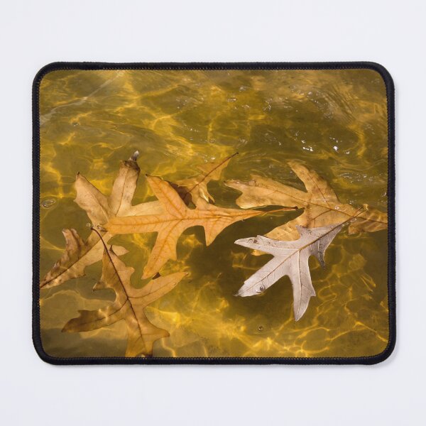 Item preview, Liquid Gold Fall - Oak Leafs Floating in a Fountain designed and sold by Georgia Mizuleva.