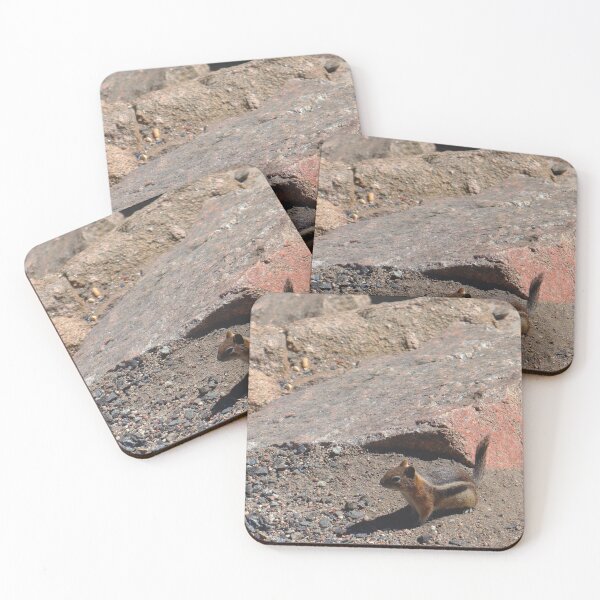 Item preview, Ardilla en roca designed and sold by Jennifer Sweeney.
