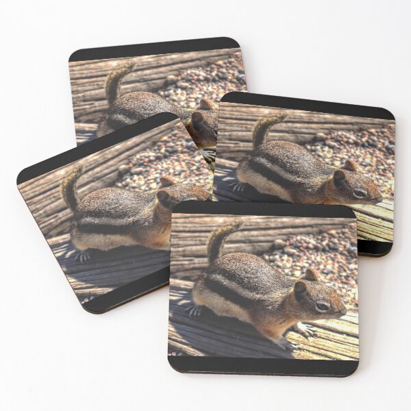 Item preview, Ardilla en registro designed and sold by Jennifer Sweeney.