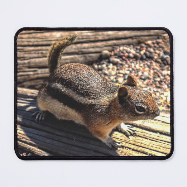 Item preview, Chipmunk on log designed and sold by Jennifer  Sweeney.