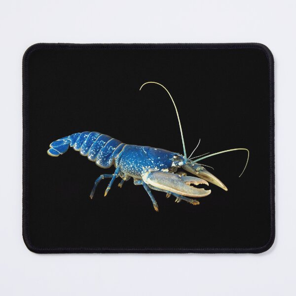 Item preview, Blue Crayfish - For All Crayfish Lovers designed and sold by AquariumExp.