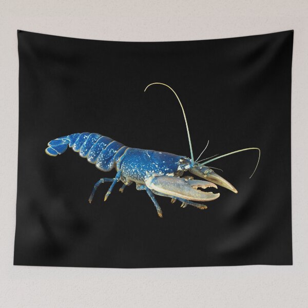 Item preview, Blue Crayfish - For All Crayfish Lovers designed and sold by AquariumExp.