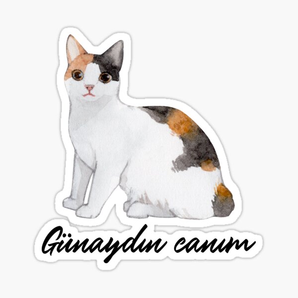 Gunaydin Canim Kedi Good Morning Dear Cat Calico Sticker For Sale By Languagedreamer Redbubble