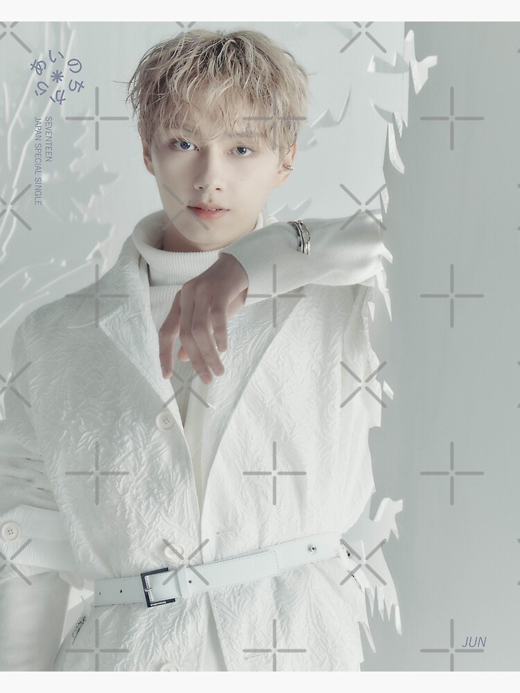 seventeen ジュン うちわ power of love SEVENTEEN ジュン power of love うちわ SEVENTEEN of ジュン Moments