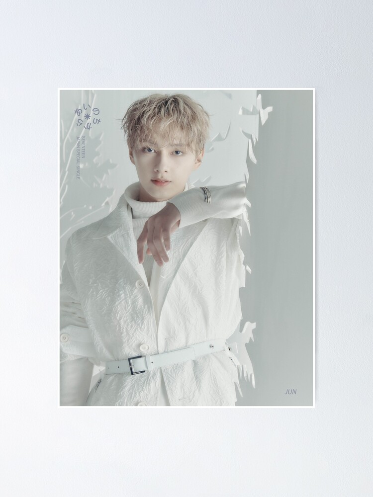 SEVENTEEN セブチ POWER OF LOVE プレミアムフォト ジュン SEVENTEEN セブチ POWER OF LOVE プレミアムフォト ジュン