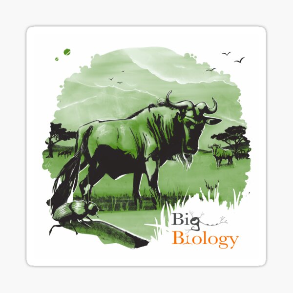 Item preview, Stability and change designed and sold by BigBiology.