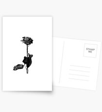 Blackbear Postcards