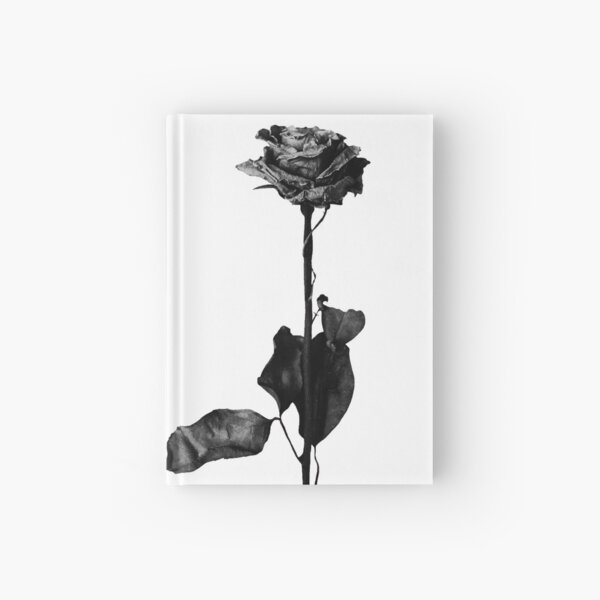 Blackbear Hardcover Journal