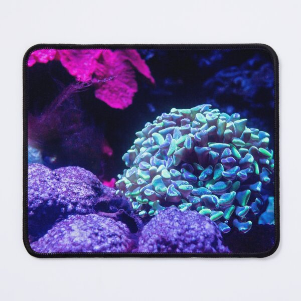 Item preview, Oacian ocean marine reef designed and sold by Riazzzy.