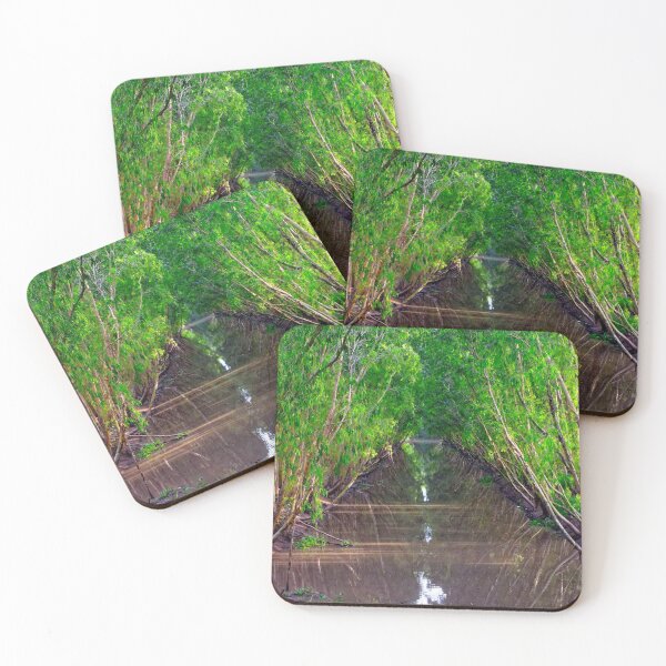 Item preview, Waterway in the Tra Su Cajuput Forest, Vietnam designed and sold by Brian Shaw.