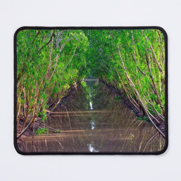 Item preview, Waterway in the Tra Su Cajuput Forest, Vietnam designed and sold by Brian Shaw.