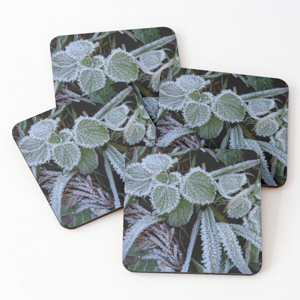 Item preview, The first frosts designed and sold by Ana Belaj.