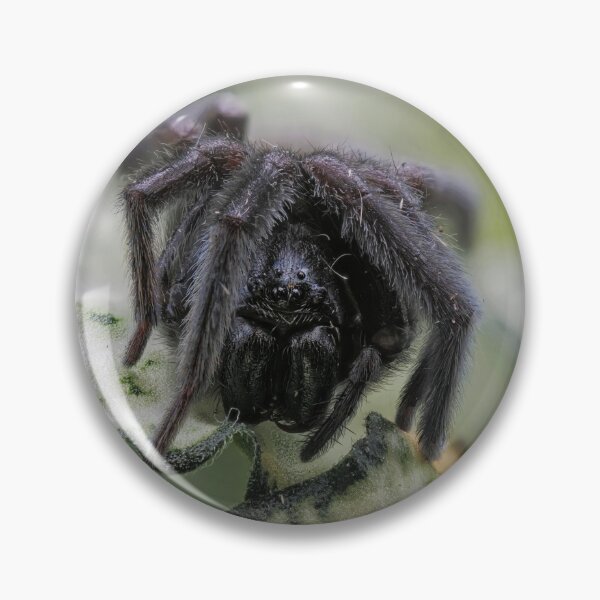 Item preview, Dirty black spider designed and sold by hendrikspix.