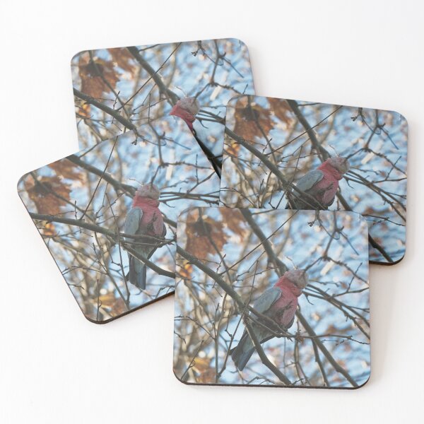 Item preview, Galah in a tree designed and sold by hendrikspix.