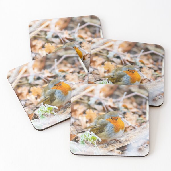 Item preview, Puffed-up Robin Redbreast in Frost designed and sold by Graham Prentice.