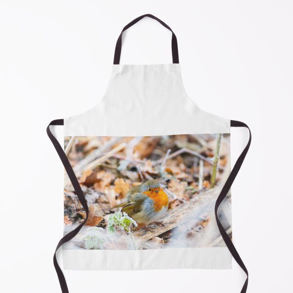 Item preview, Puffed-up Robin Redbreast in Frost designed and sold by Graham Prentice.