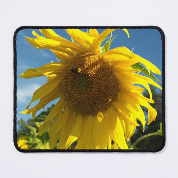 Item preview, Elegantly Ragged Big Yellow Sunflower In Blue Sky designed and sold by DEC02.