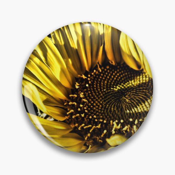 Artikelvorschau, Nahaufnahme einer Sonnenblume mit dramatischer Wirkung entworfen und verkauft von Ann Biddlecombe.