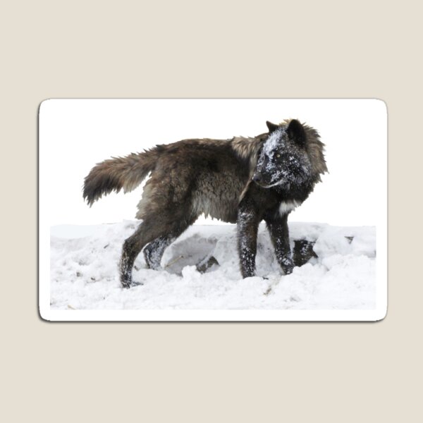 Item preview, Señor del invierno (wht) designed and sold by mwroach.